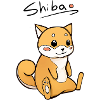 Shiba Inu Cute
