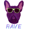 RAVE Bulldog