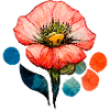 Blume