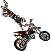 Motocross Champions
