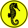 Seahorse animal