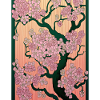 Asian