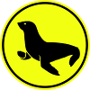 seal animal