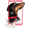 Dackelliebe