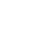 Flying wild goose with wings