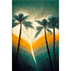 Palmiers au soleil