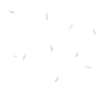 Branches et feuilles