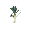 Team Lauch