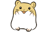 Guinea Pigs - Guinea Pig Squad