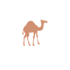 Dromedary