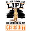Suricate d’Erdmännchen