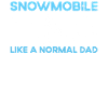 Snowmobile driver saying