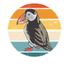 Puffins Seabirds Puffin