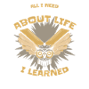 Owl Bird Animal Owls