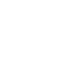 2006