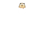 Hérisson Épineux Animal Hérisson