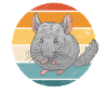 Chinchilla Souris de Chinchilla