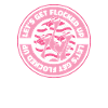 Flamingo Animal Pink
