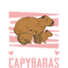 Capybara Rodent Animal