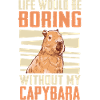 Capybara Rodent Animal