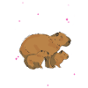 Capybara Rongeur