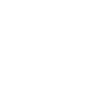 Dictionary Blockchain white