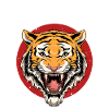 Karate Tiger Kopf