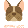 monday mood french bulldog