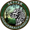 Jagdgebrauchshund Setter