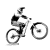 vtt mtb downhill