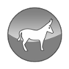Donkey