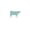 Vache