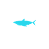 Requin