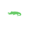 Crocodile