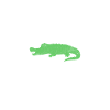 Crocodile