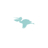 Pelican