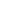 Dictionary Bitcoin white