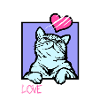 Amour Scratch