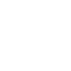 Flying Owl - Birds