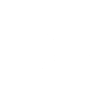 Birds of Prey - Birds