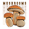 Mushroom Picker Mushroom Finder