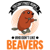 Beaver Gift Beaver Dam