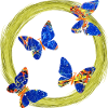 papillons e 273