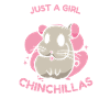 Chinchilla Chinchilla's Mouse