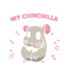 Chinchilla Souris de Chinchilla