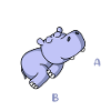 Hippotenuse fun math math