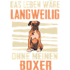 Deutscher Boxer Hund