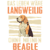 Beagle Hund