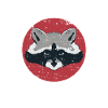 Raccoon Retro devient ingouvernable