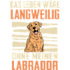 Labrador Hund